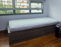 Punggol Drive (Punggol),  #533847291